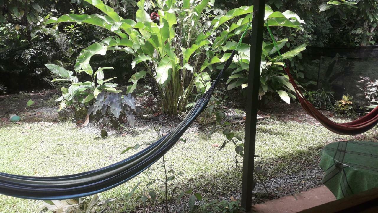 Apartmán Casa Arlecchino Puerto Viejo de Talamanca Exteriér fotografie